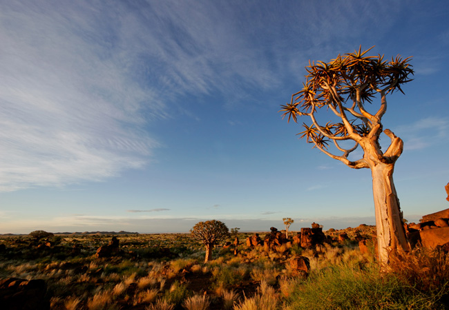 Car rental in Upington
